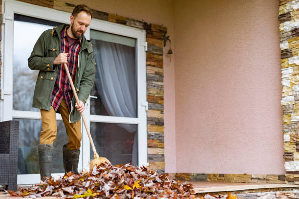 Best Basement Cleanout Services  in Noroton, CT